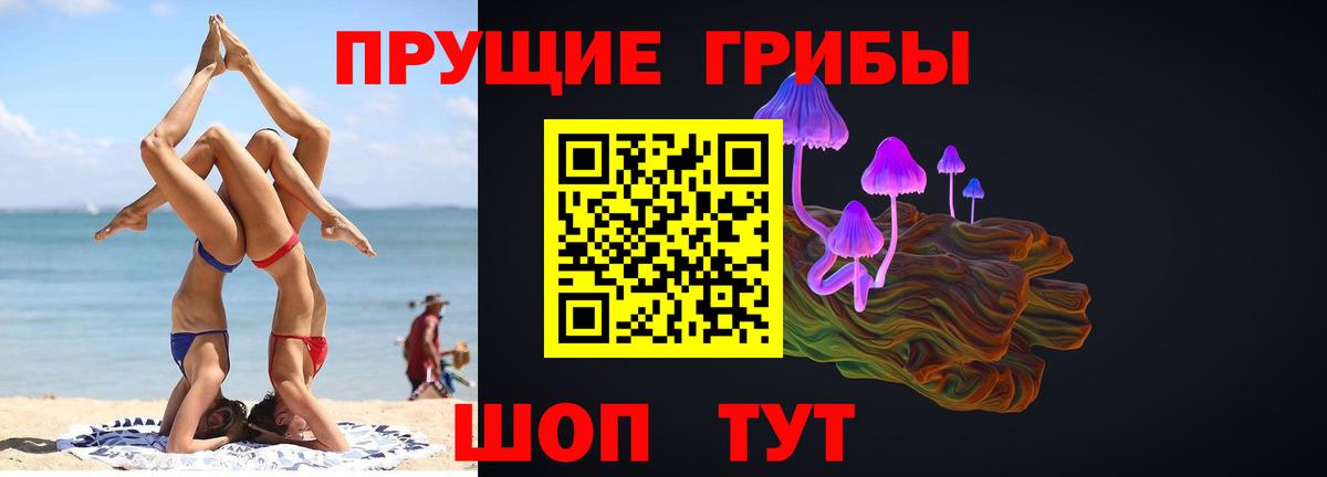Псилоцибиновые грибы ЛСД  что такое наркотик  Хасавюрт  Вход с VPN 